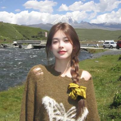 谍影重重2011海报